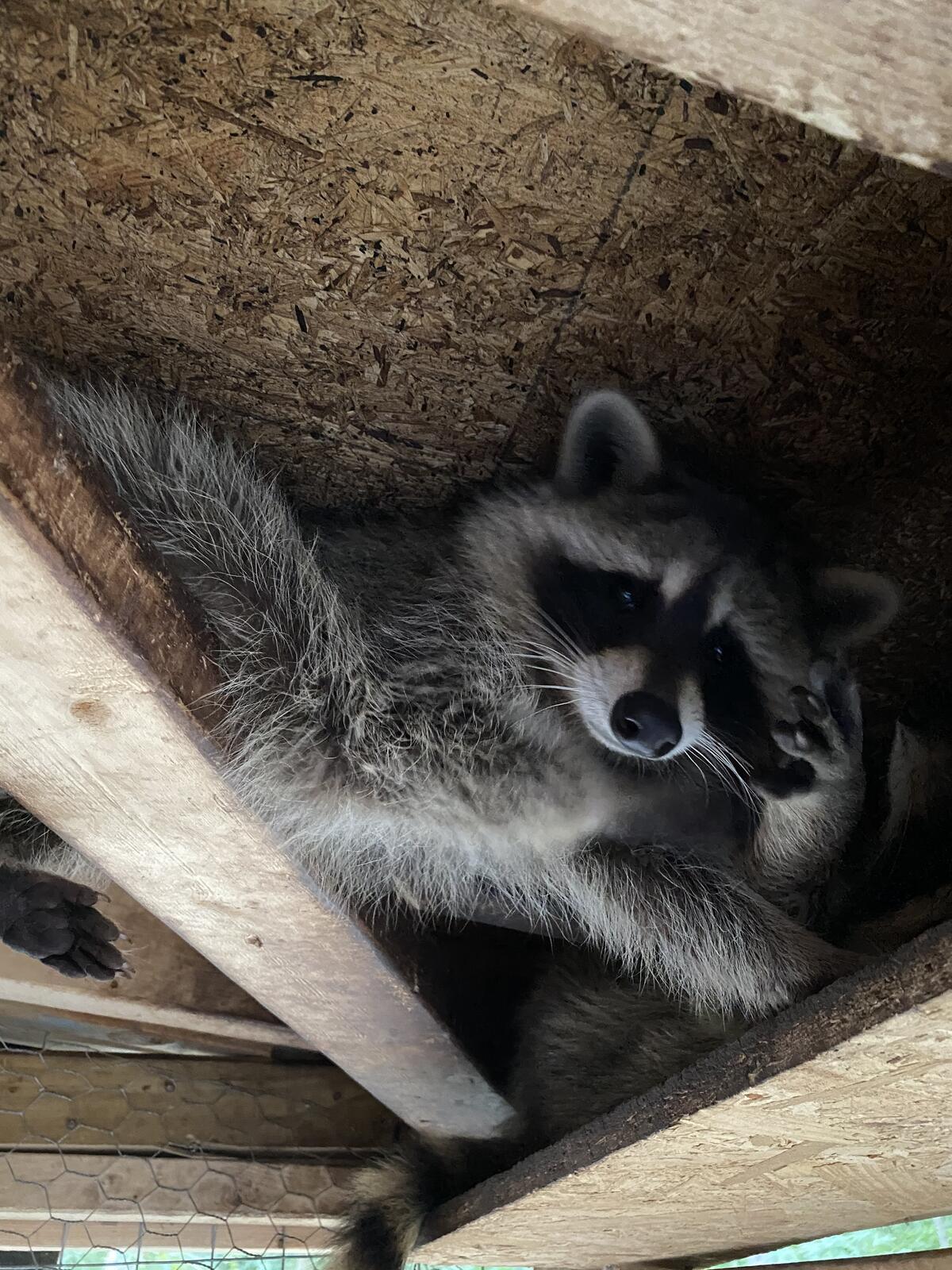 Photo credit: nextdoor