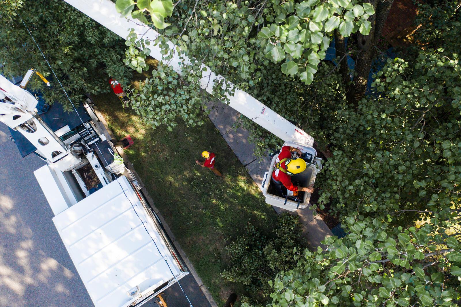 Photo credit: nextdoor