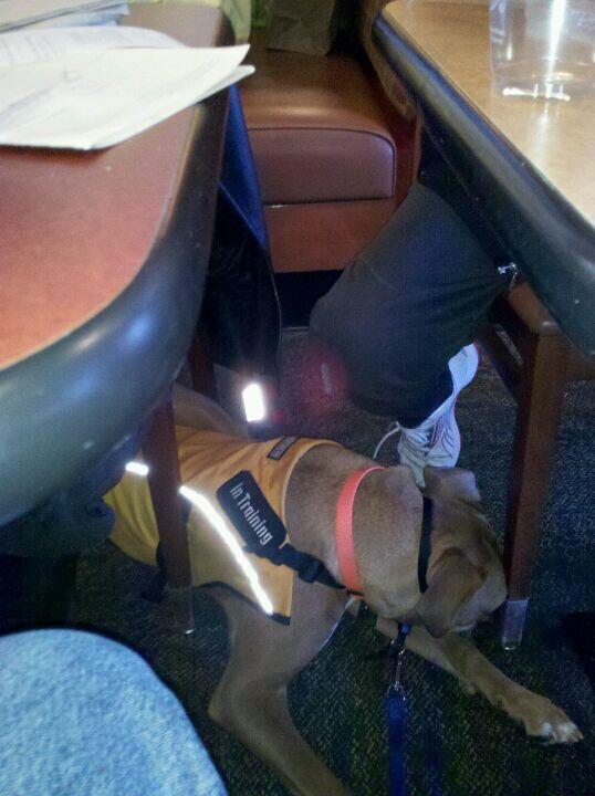 Photo credit: nextdoor