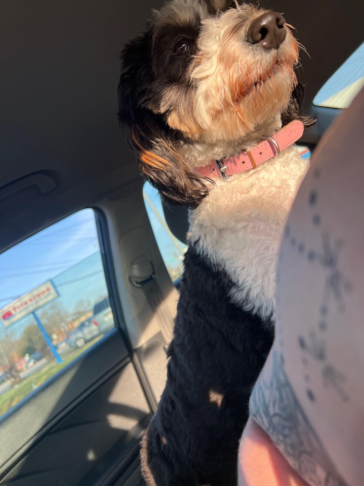 Photo credit: nextdoor