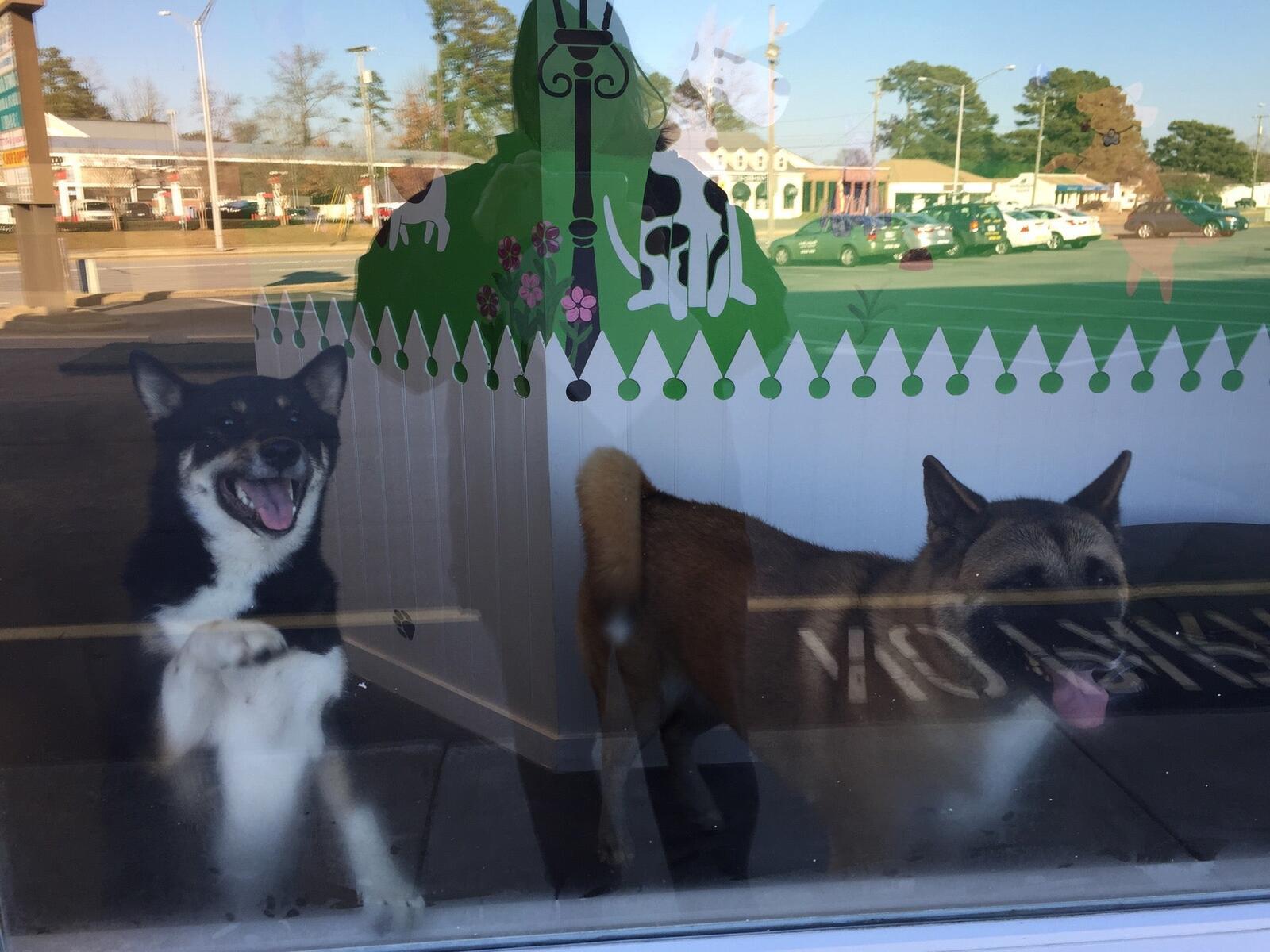 Photo credit: nextdoor