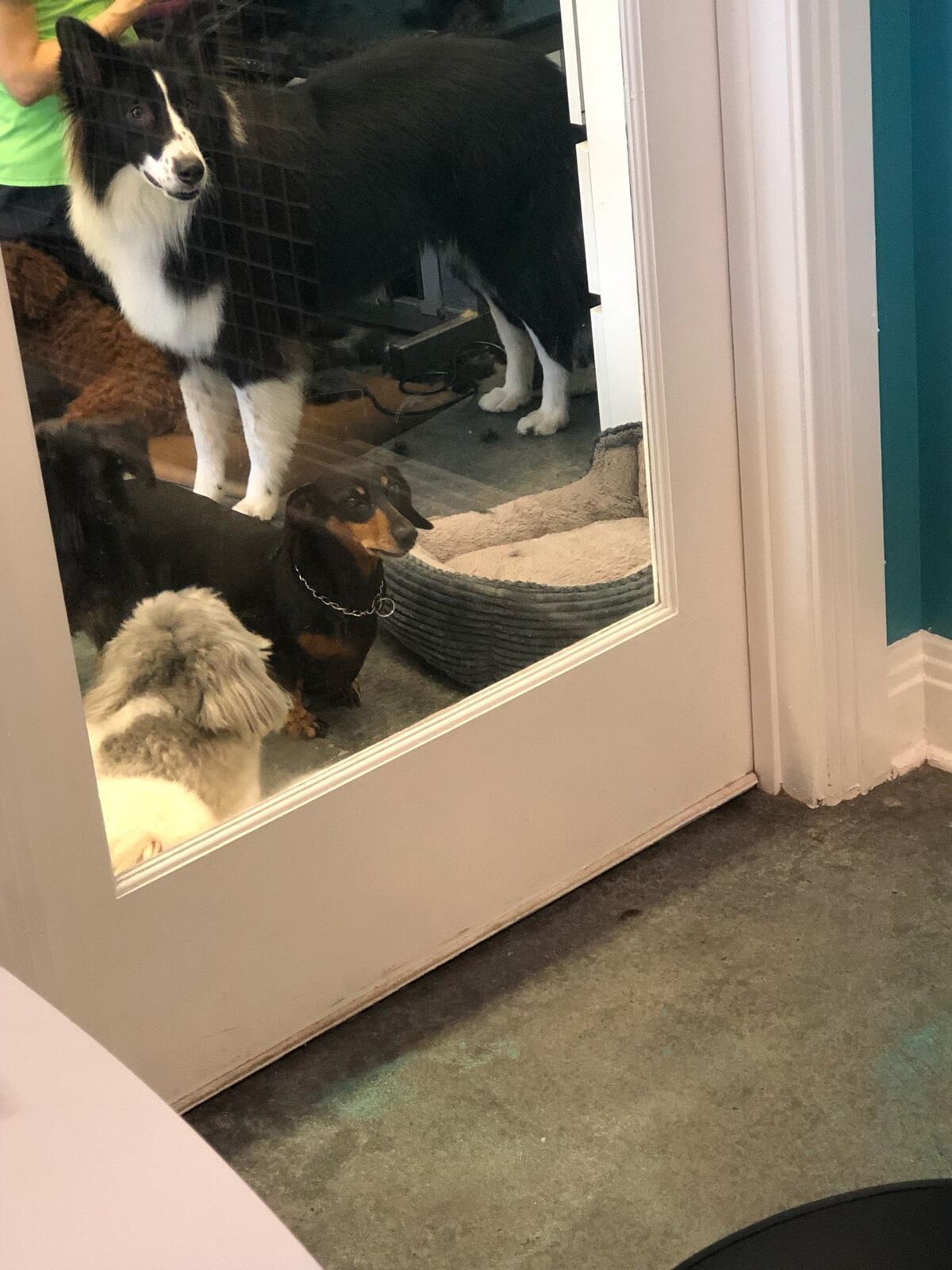 Photo credit: nextdoor