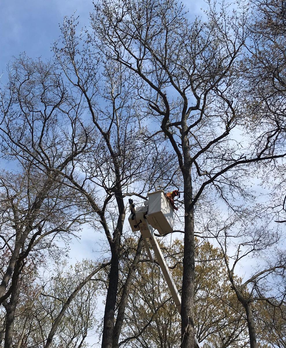 Photo credit: nextdoor