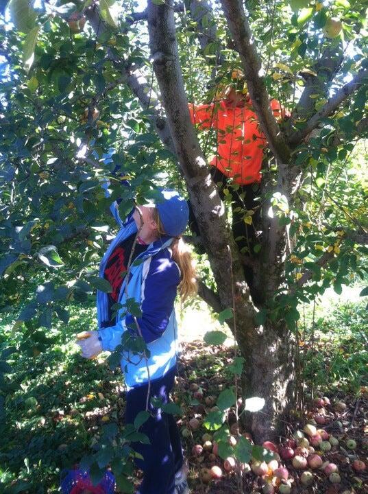 Photo credit: nextdoor