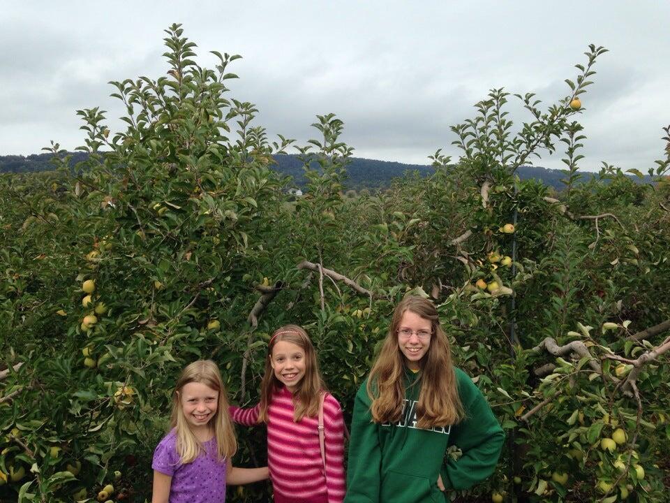 Photo credit: nextdoor