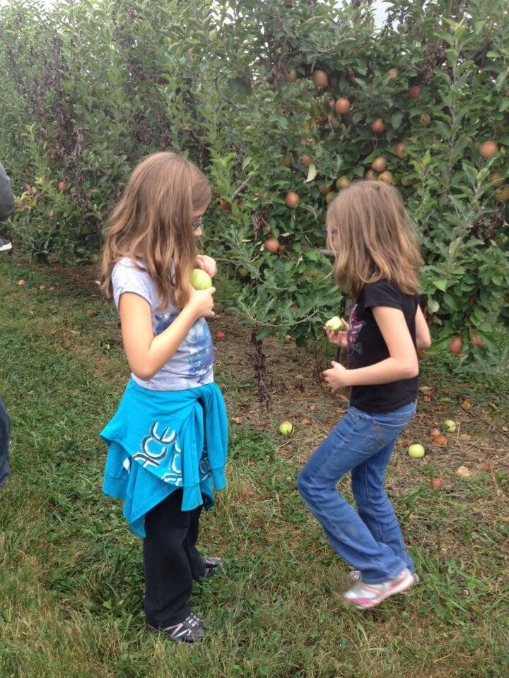 Photo credit: nextdoor