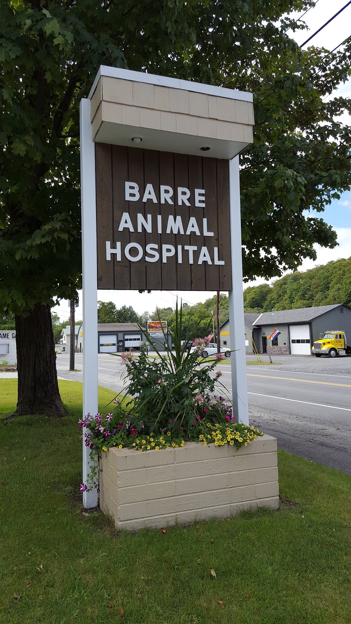 Barre Animal Hospital