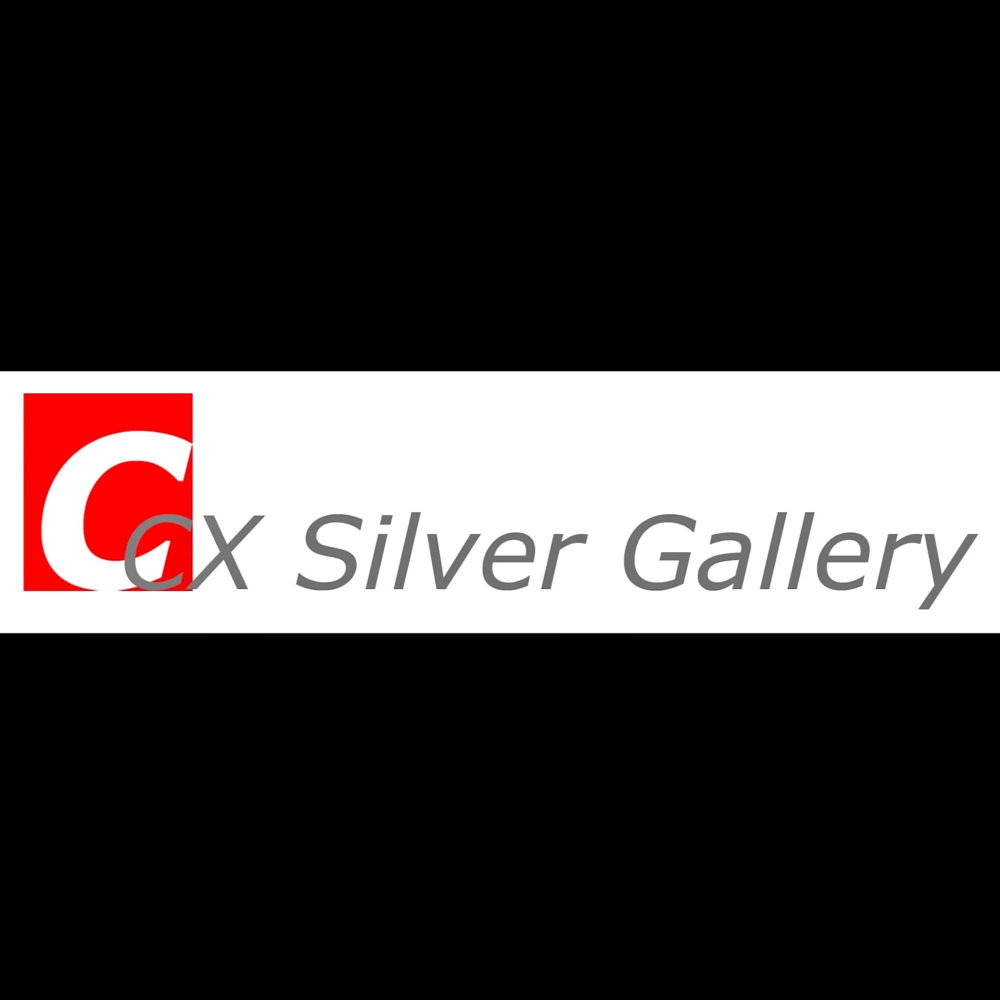 C X Silver Gallery LLC
