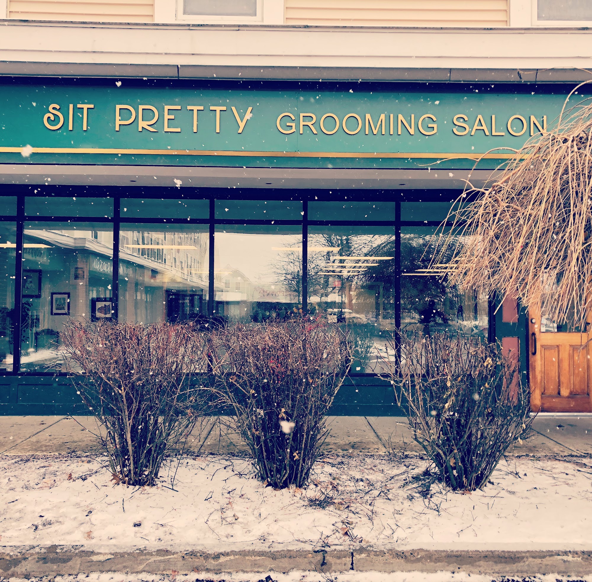 Sit Pretty Grooming Salon & Self-Service Pet Wash
