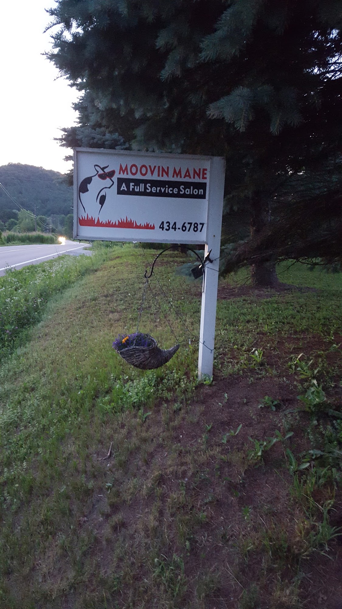 Moovin Mane 2849 E Main St, Richmond Vermont 05477