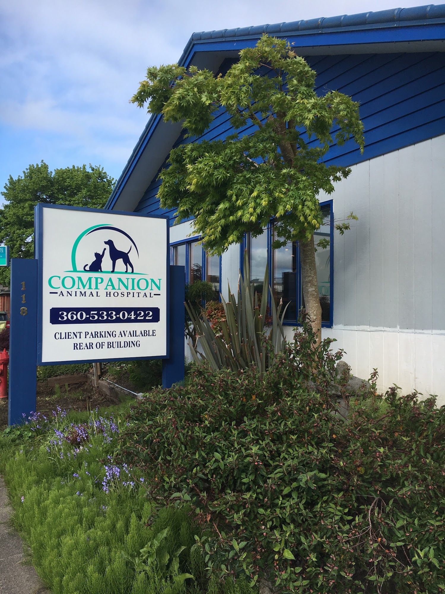 Companion Animal Hospital