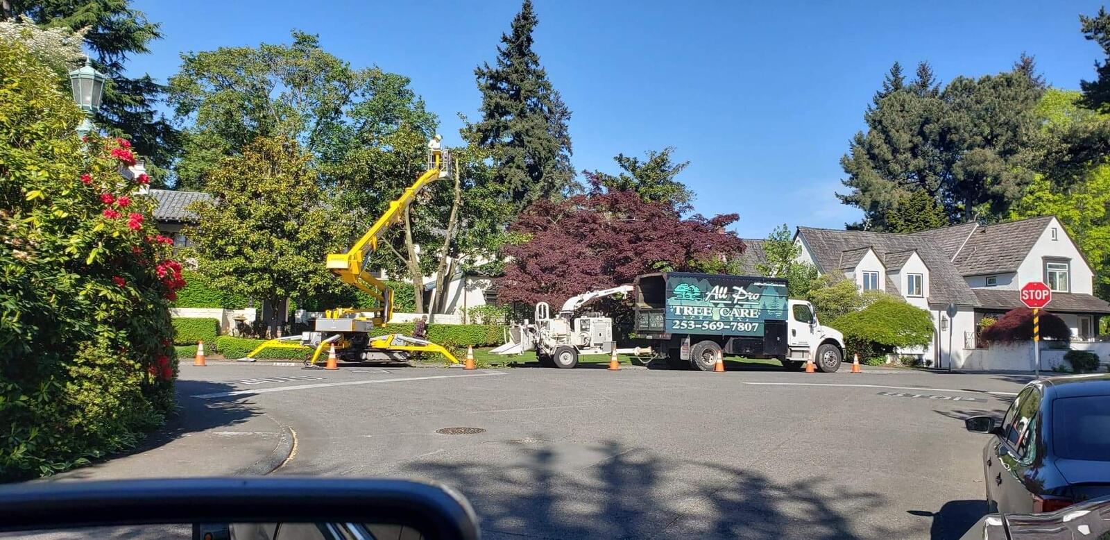 Photo credit: nextdoor