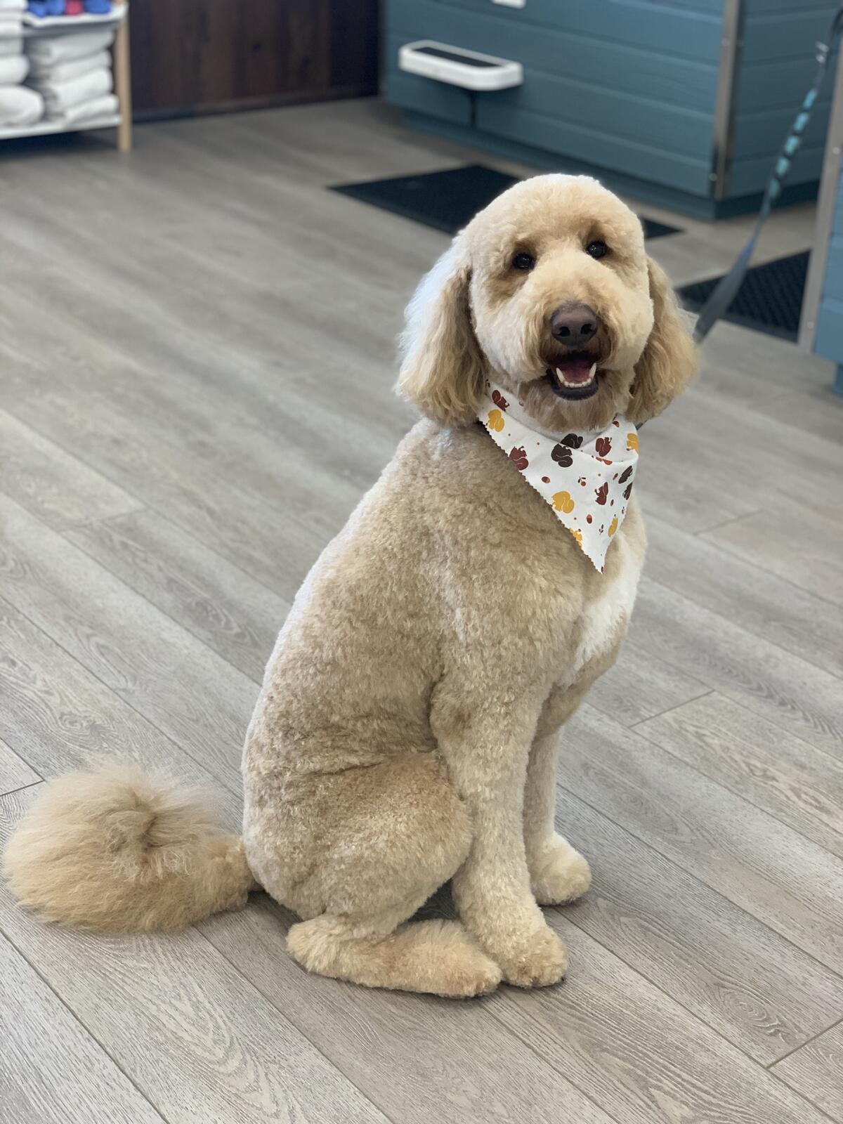 Photo credit: nextdoor