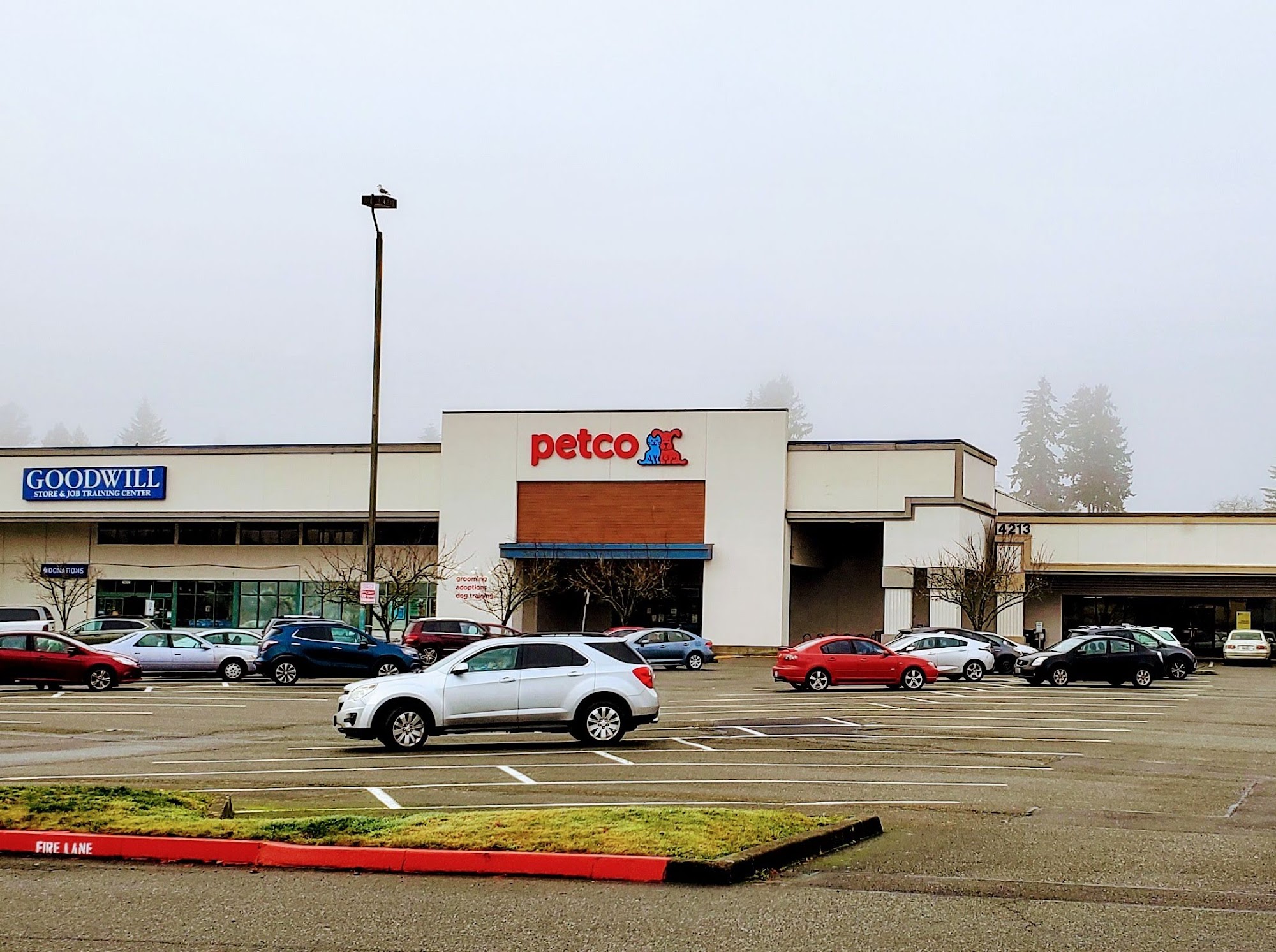 Petco