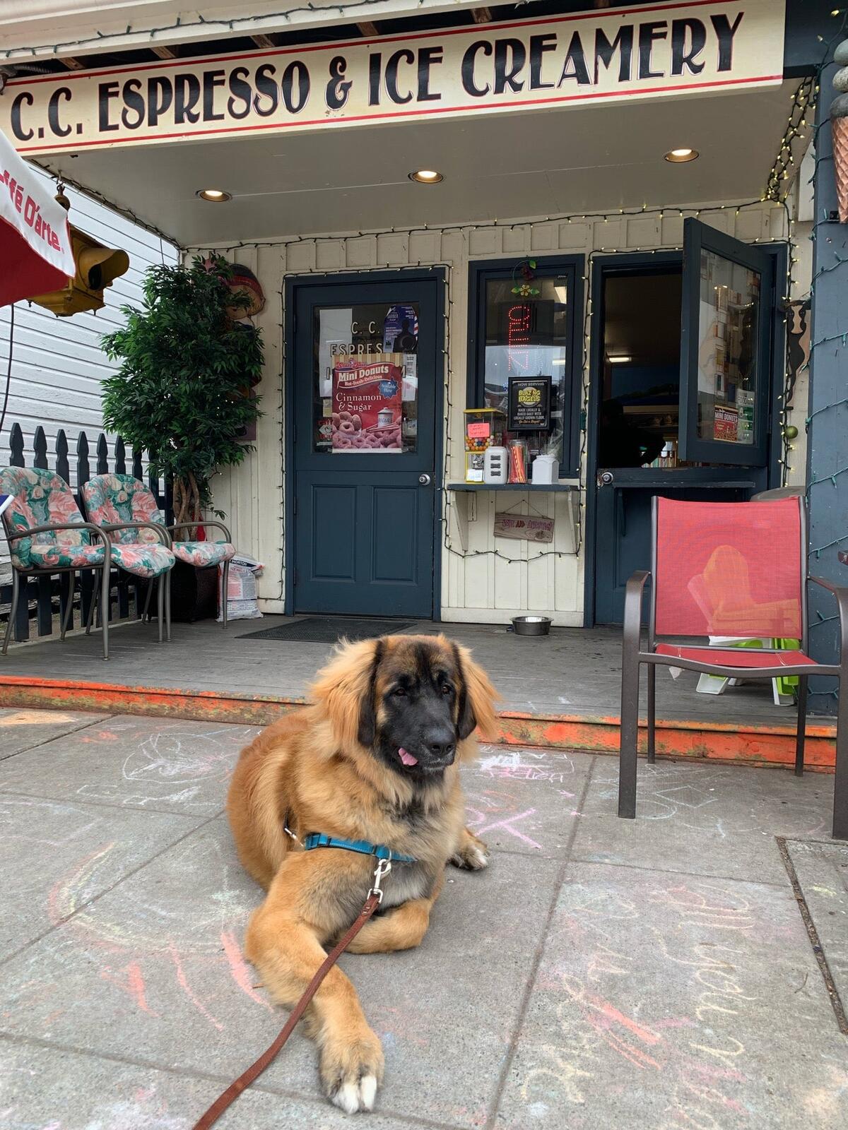 Photo credit: nextdoor