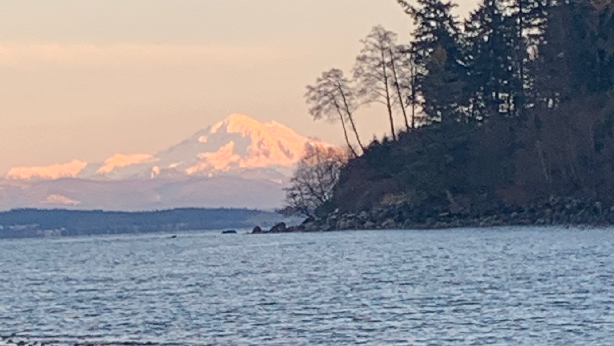 Align Body Pilates & Conditioning