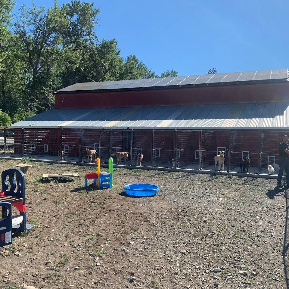 Ellensburg Kennels