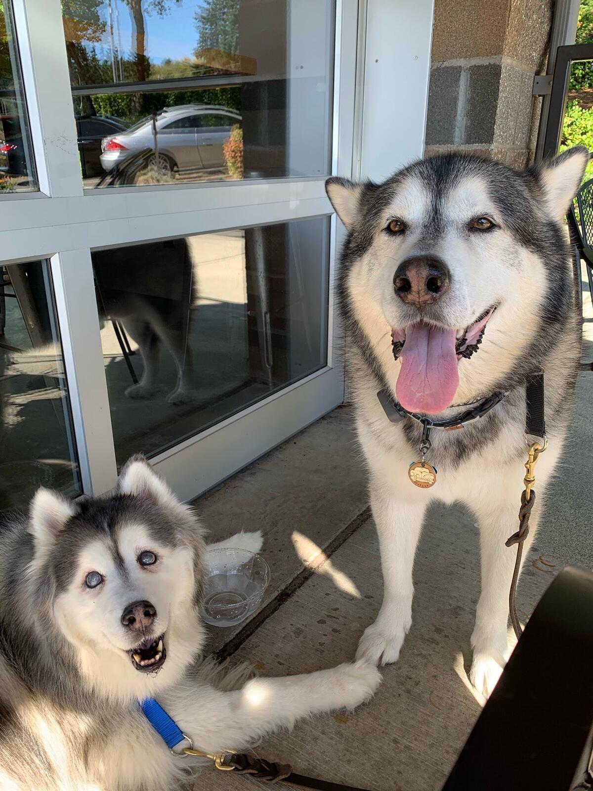 Photo credit: nextdoor