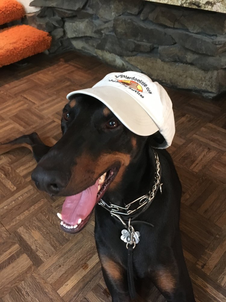Dogster Doolittle Pet & House Sitting Services North Bend