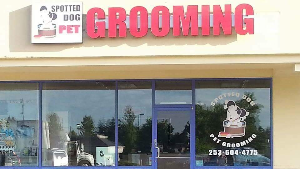 Spotted Dog Pet Grooming