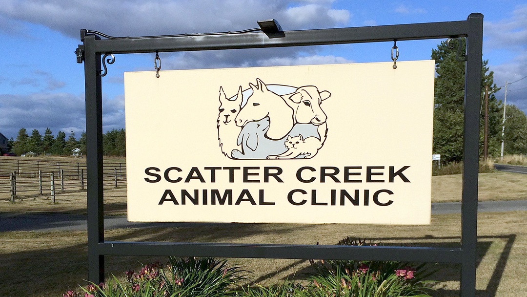 Scatter Creek Animal Clinic