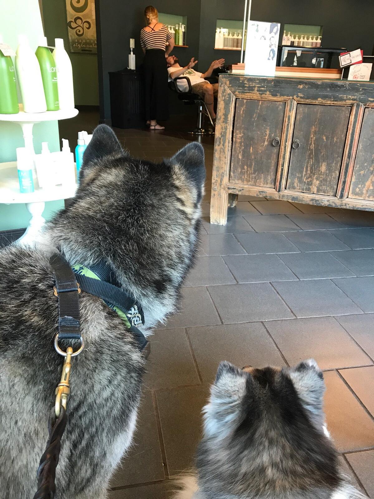 Photo credit: nextdoor