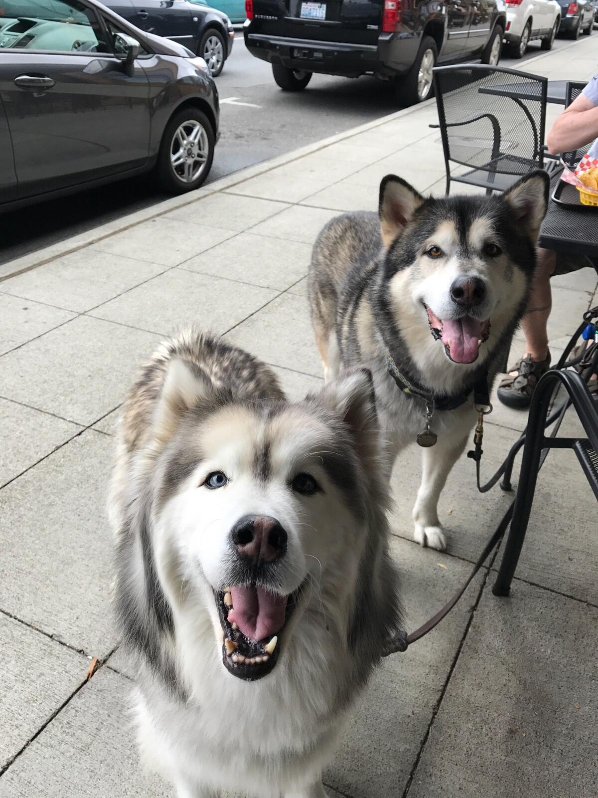 Photo credit: nextdoor