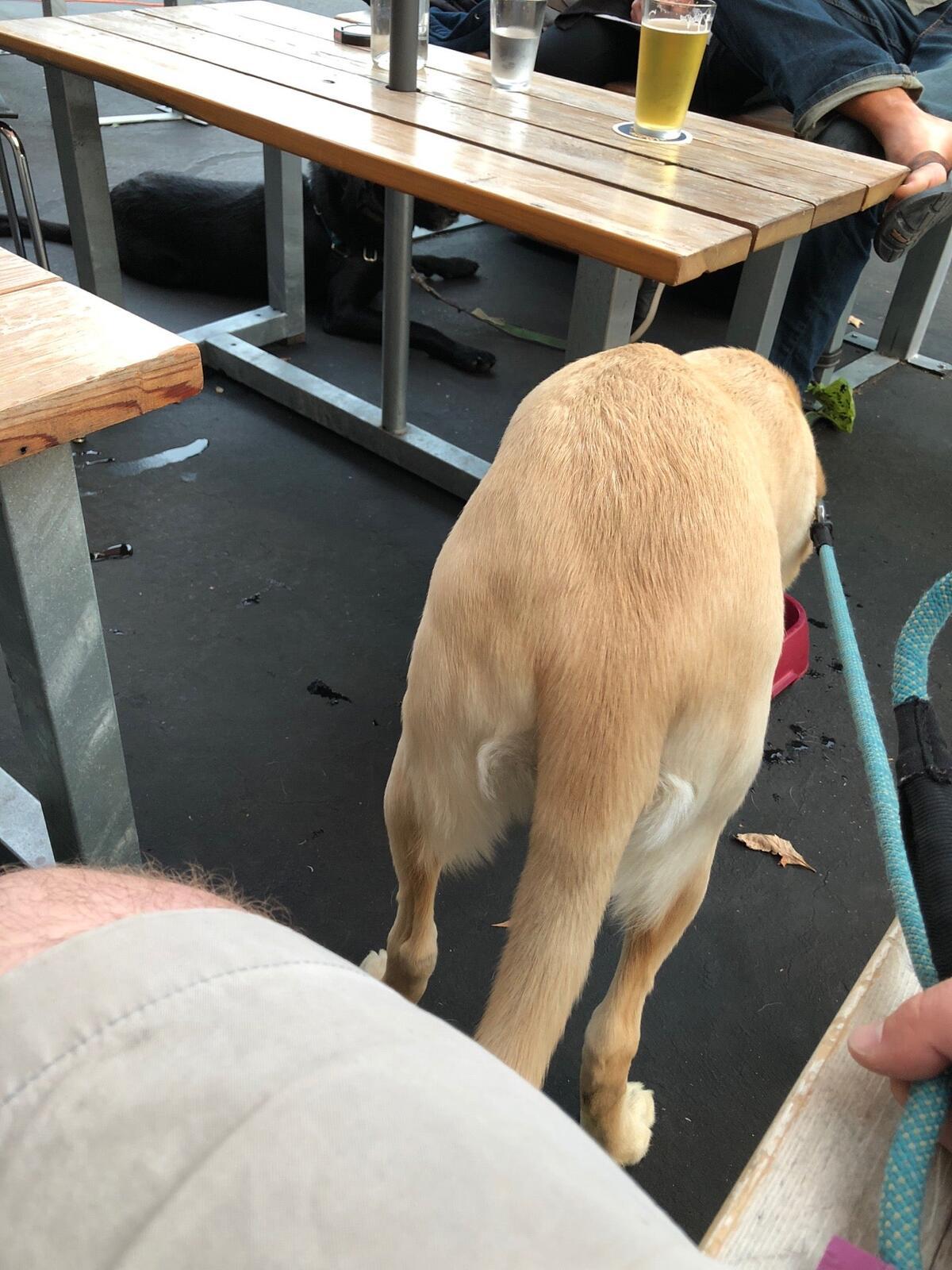 Photo credit: nextdoor