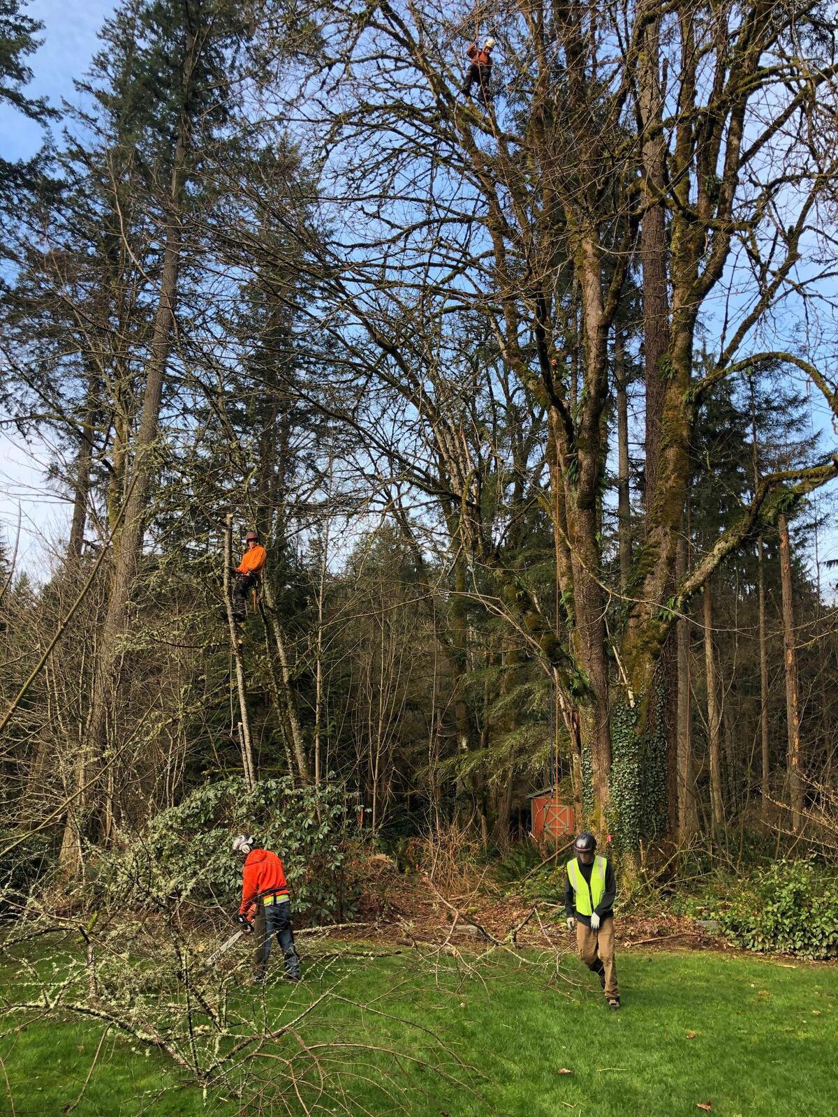 Photo credit: nextdoor