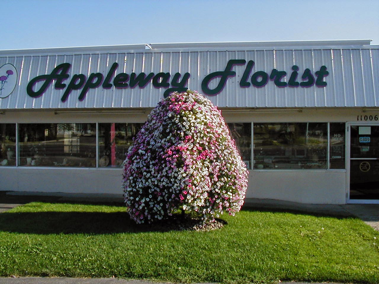 Appleway Florist & Greenhouse & Flower Delivery