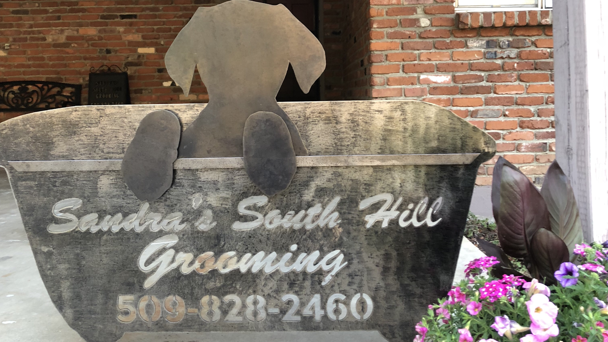 Sandra’s South Hill Grooming