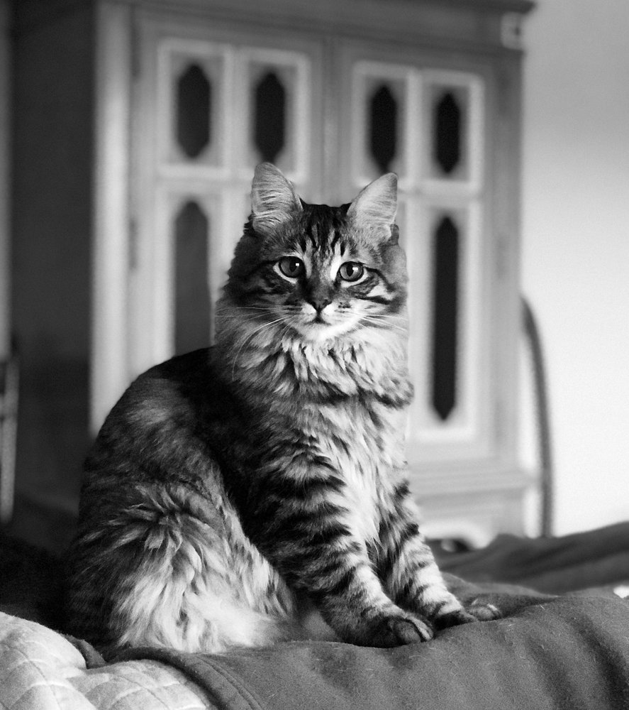 Photo credit: 