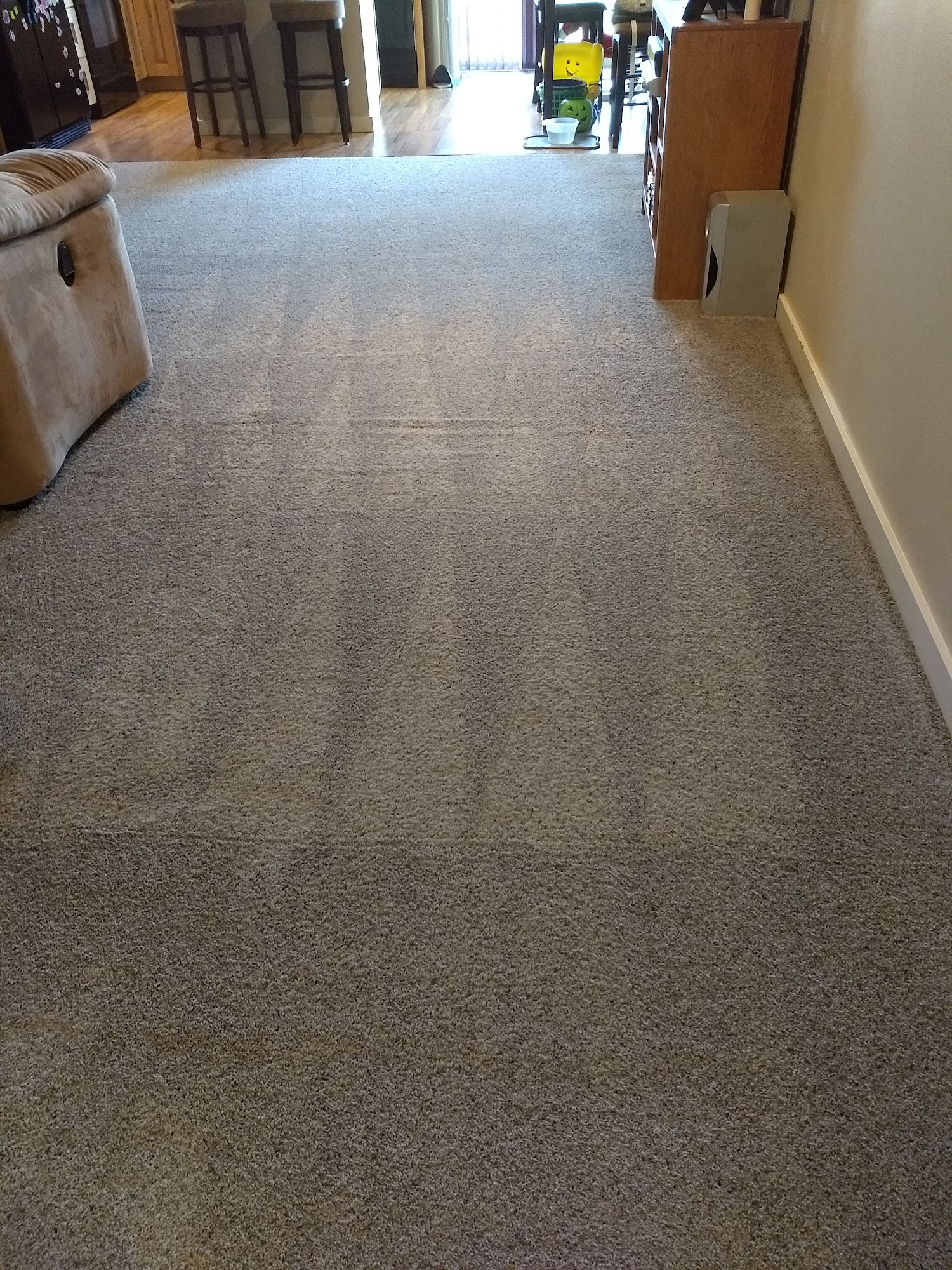 Cocina's Carpet Cleaning