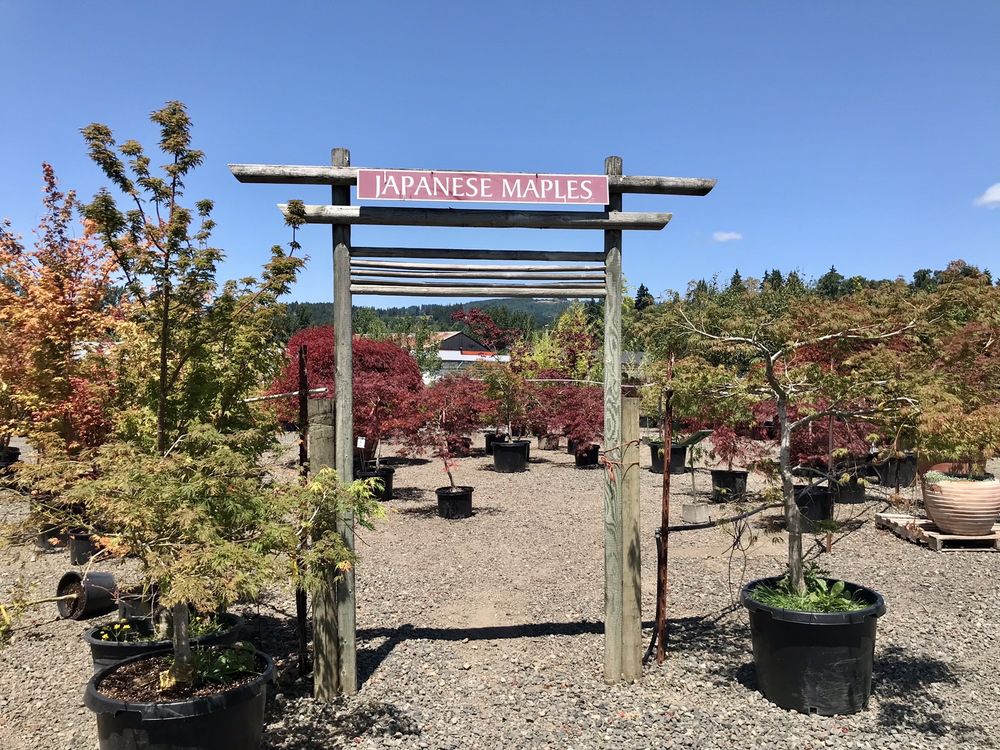 Tsugawa Nursery 410 E Scott Ave, Woodland Washington 98674