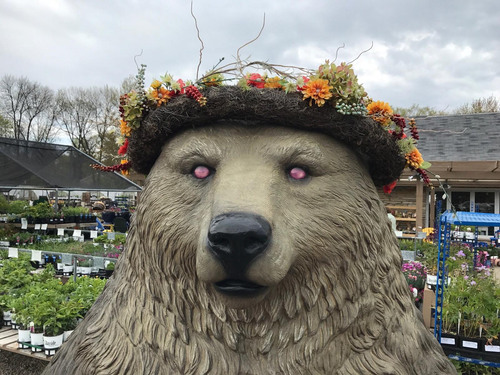 Photo credit: nextdoor