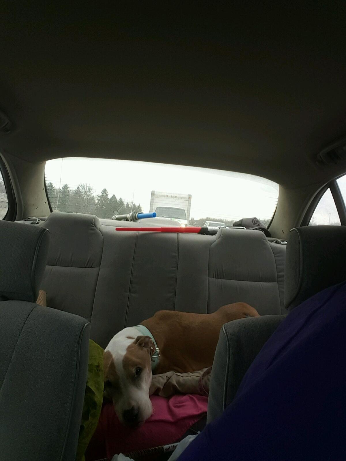 Photo credit: nextdoor