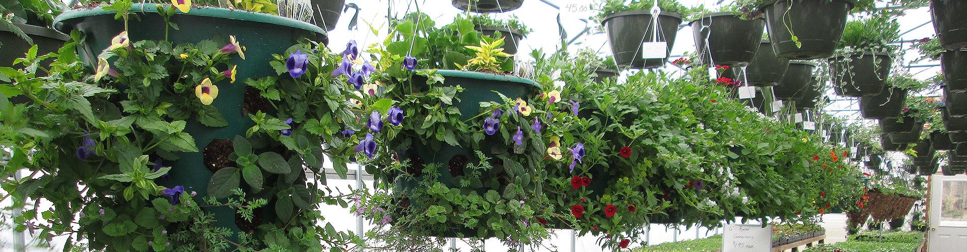 MILLER'S OUTDOOR FURNITURE & STORAGE BARNS Cecil WI Hours