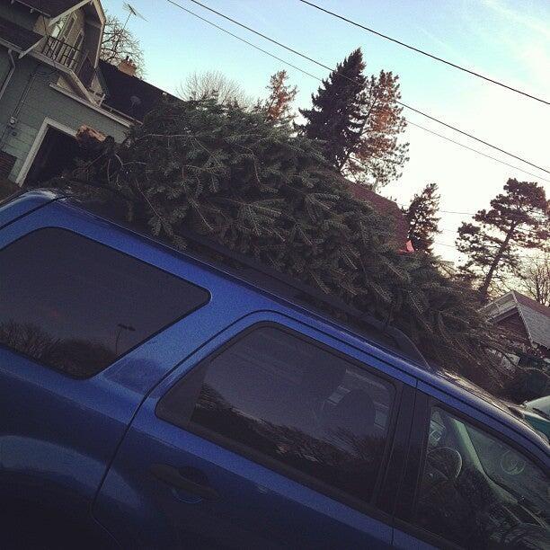 Photo credit: nextdoor