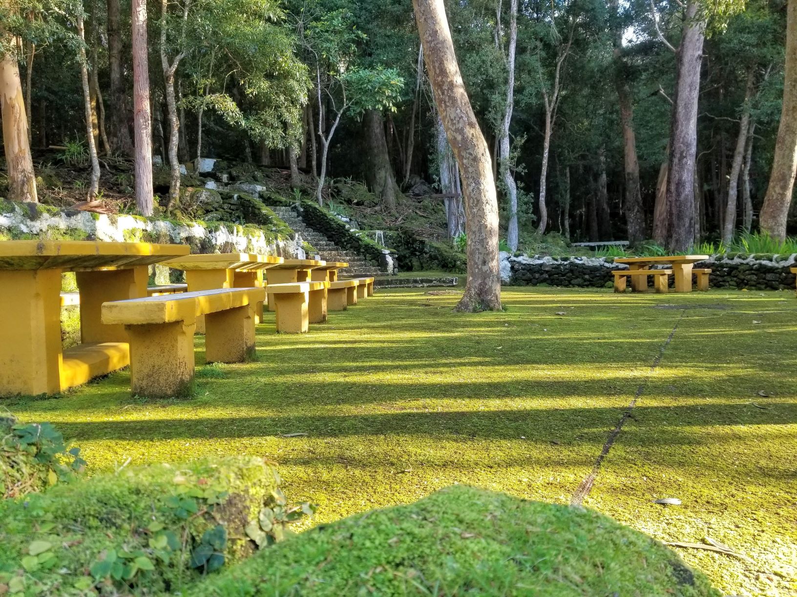 Stone Press Food Truck Menu