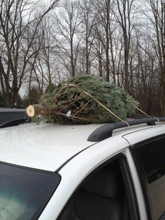 Photo credit: nextdoor