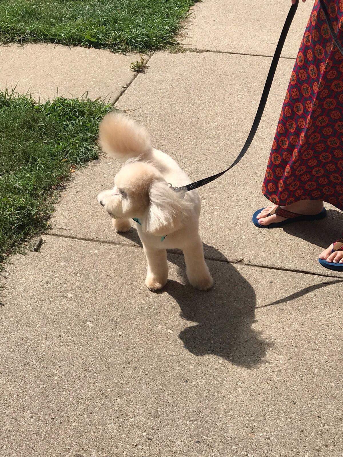 Photo credit: nextdoor