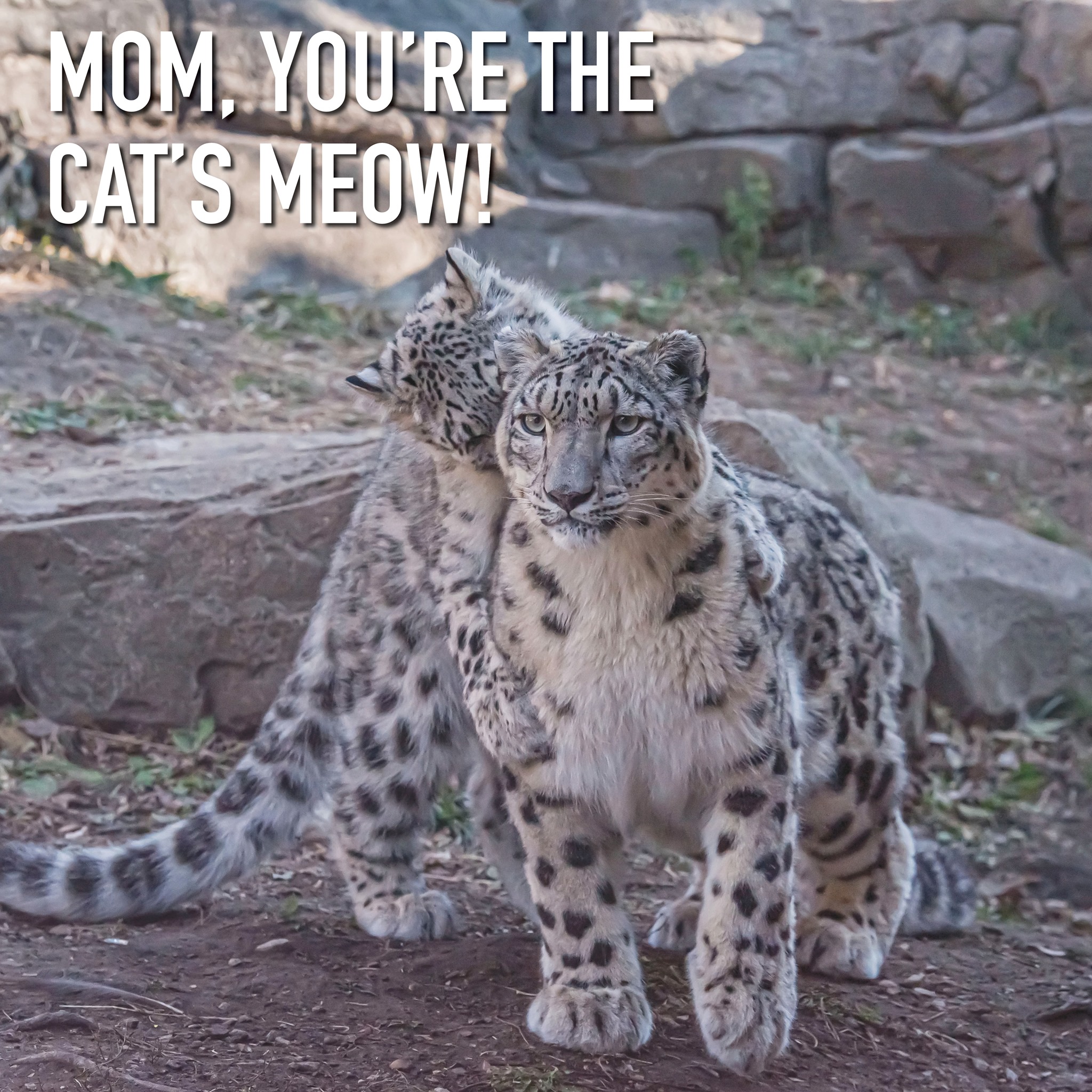 MILWAUKEE COUNTY ZOO Milwaukee WI Hours Directions Reviews