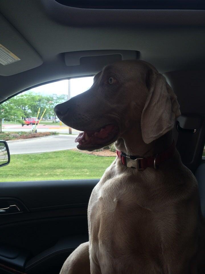 Photo credit: nextdoor