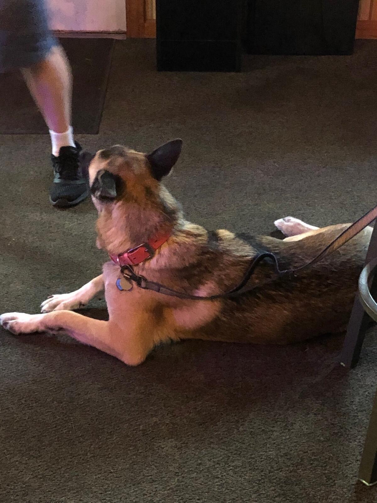 Photo credit: nextdoor