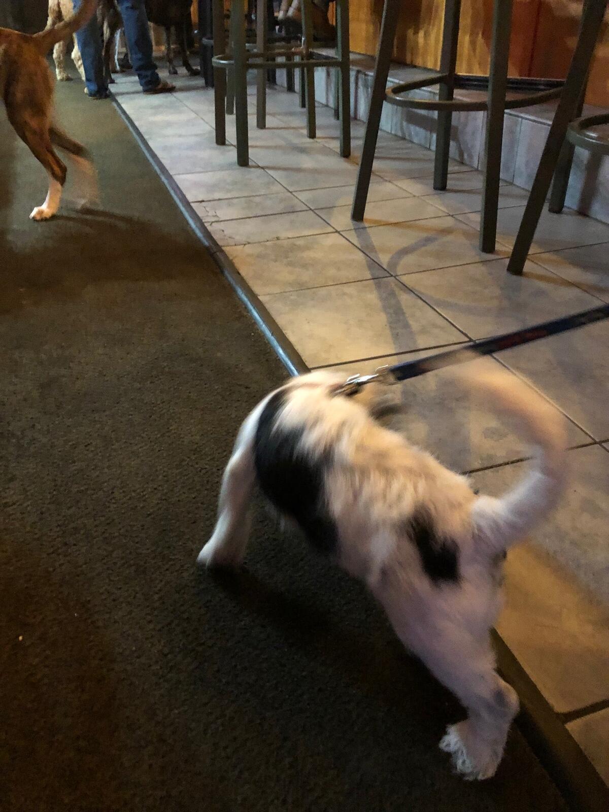 Photo credit: nextdoor