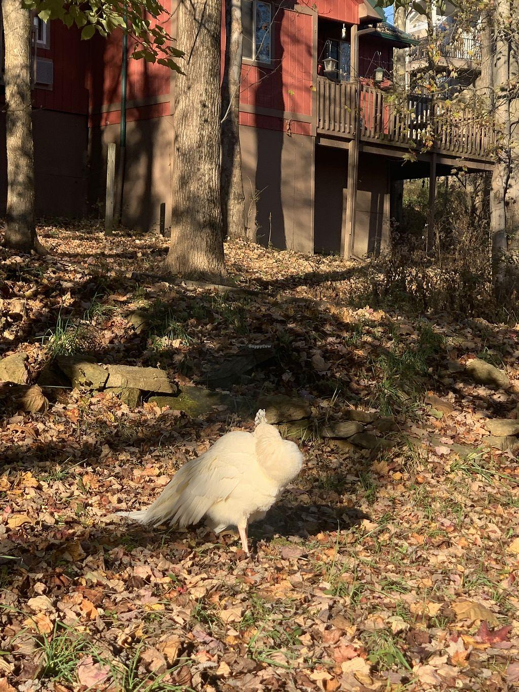 Photo credit: happycow