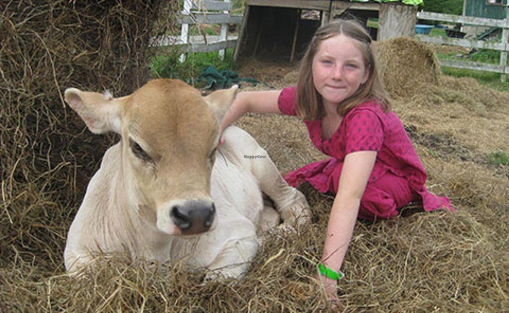 Photo credit: happycow