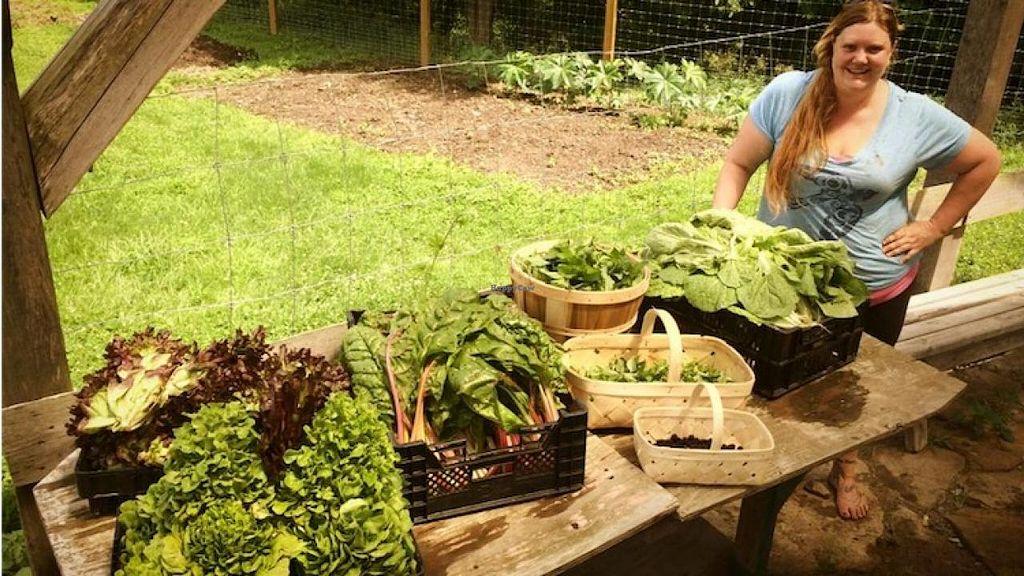 Photo credit: happycow