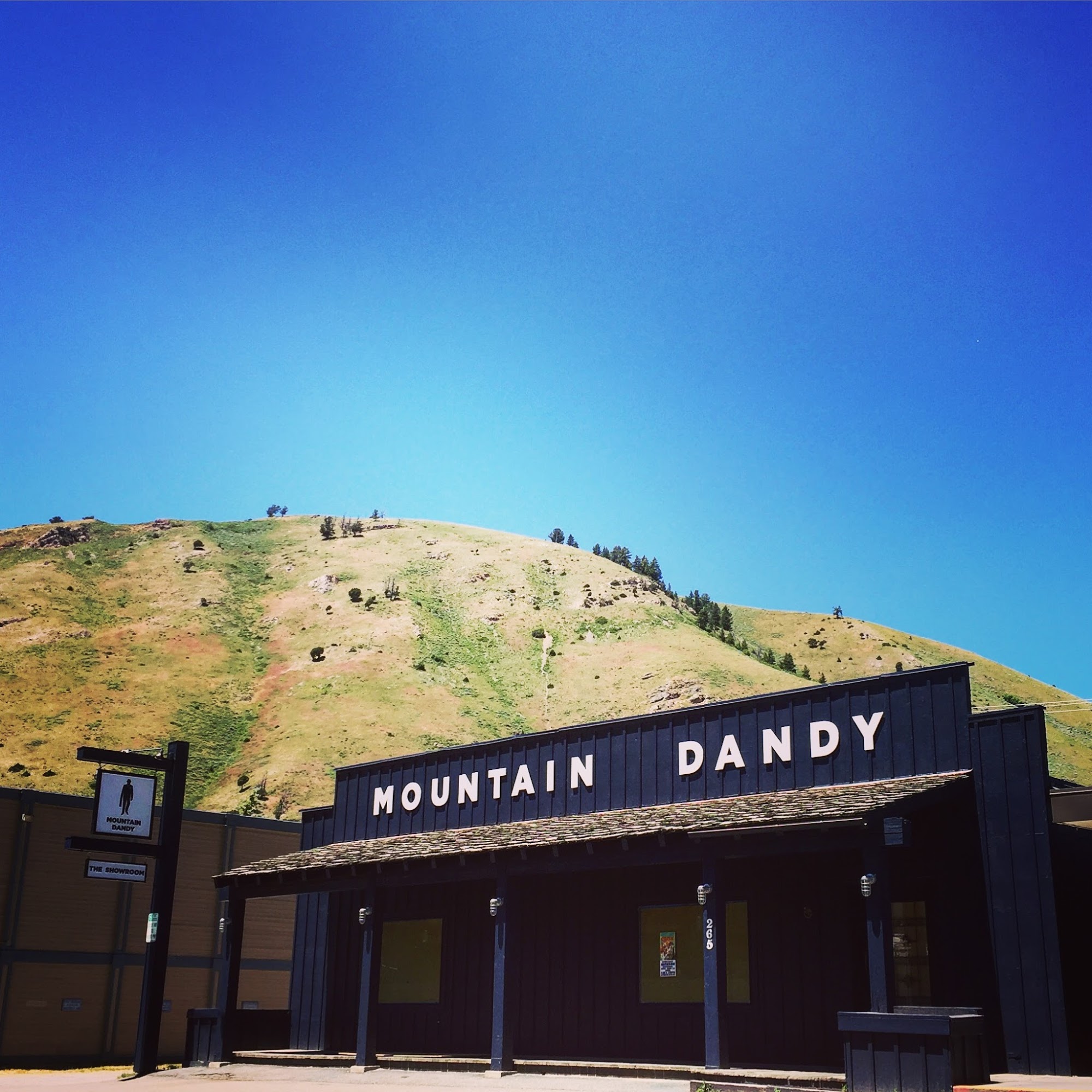 Mountain Dandy