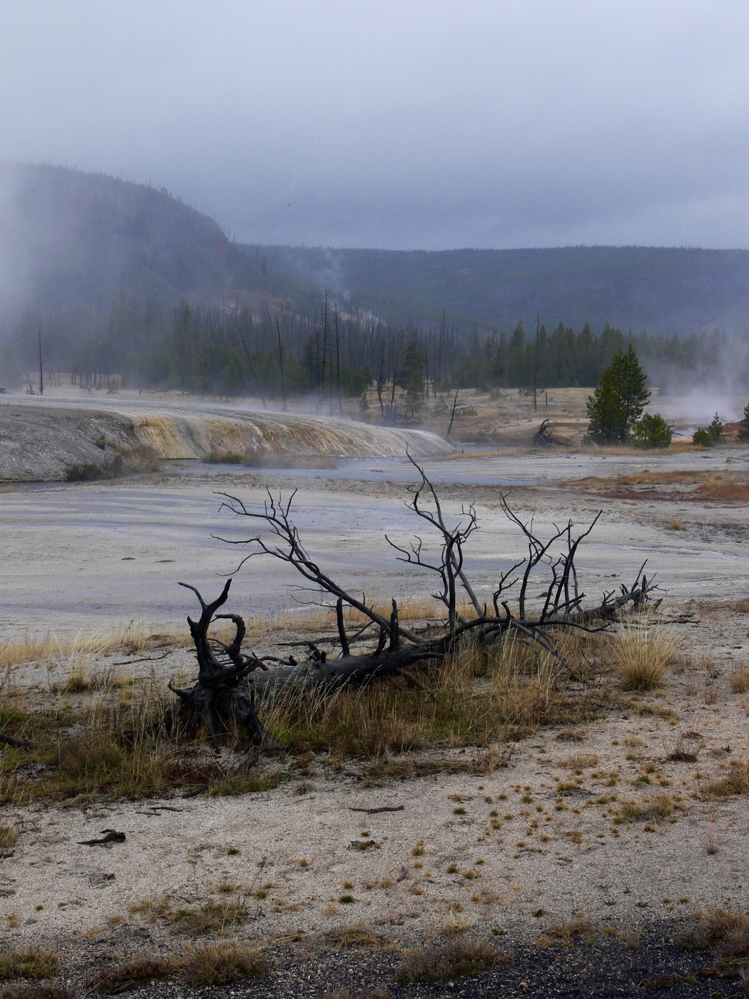 East of the Tetons Acupuncture Taug Boschen